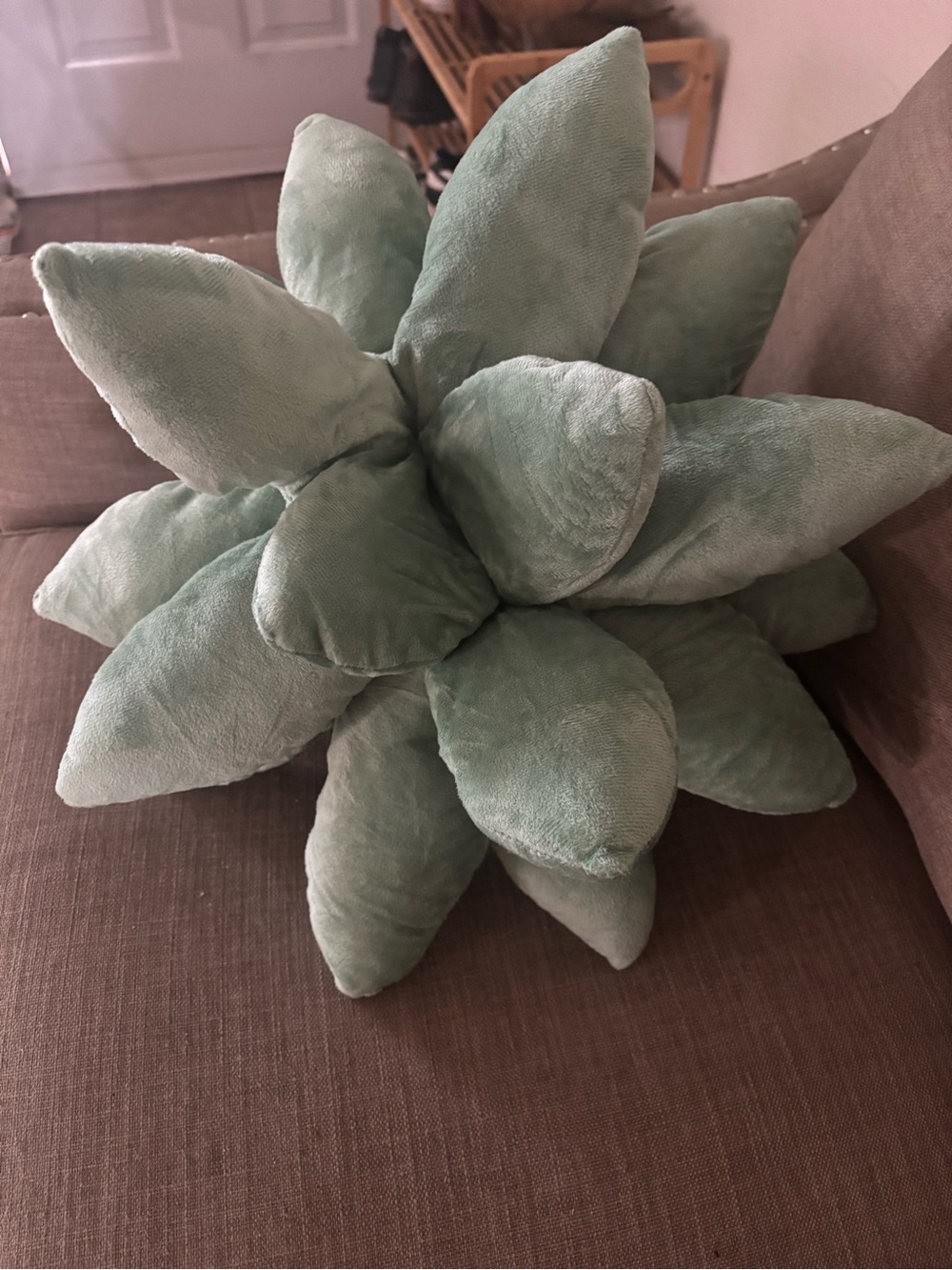 Plush succulent Pillow in Sage Green